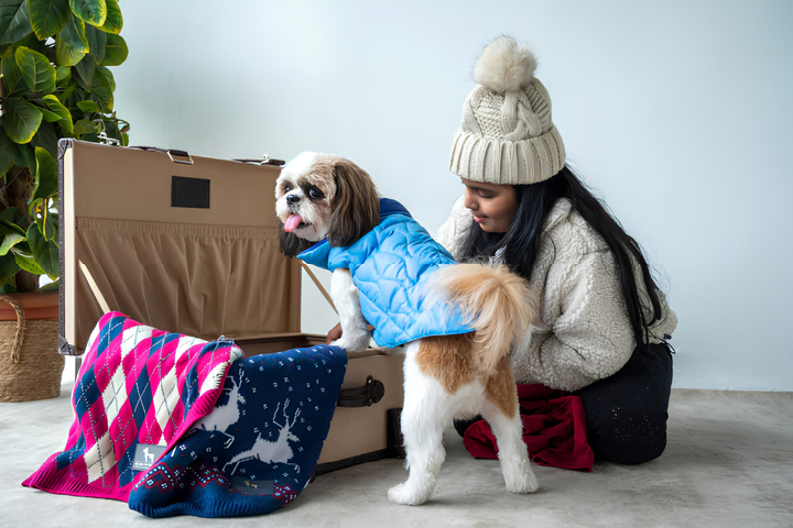 Stylish Pet Clothes For All Season Comfortably